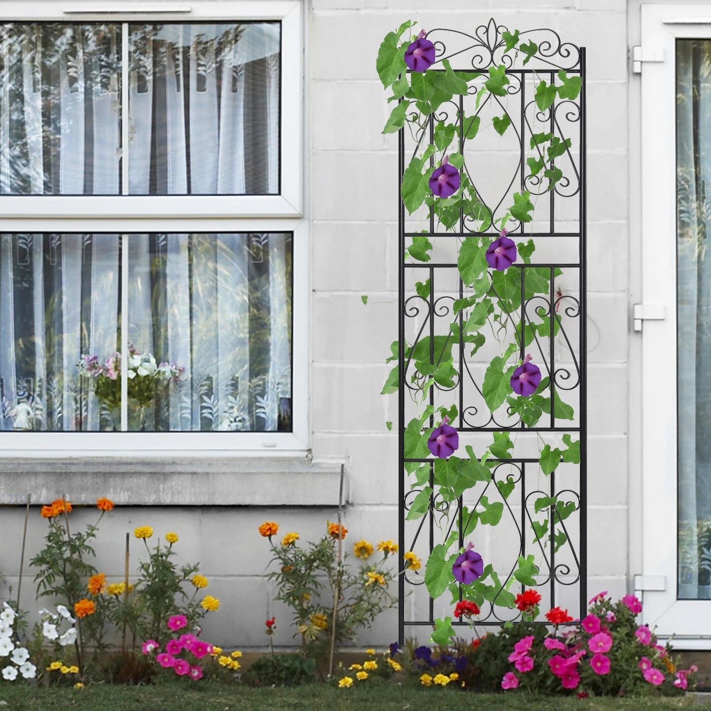 Feature Metal Garden Trellis Climbing Plants Outdoor Fence
