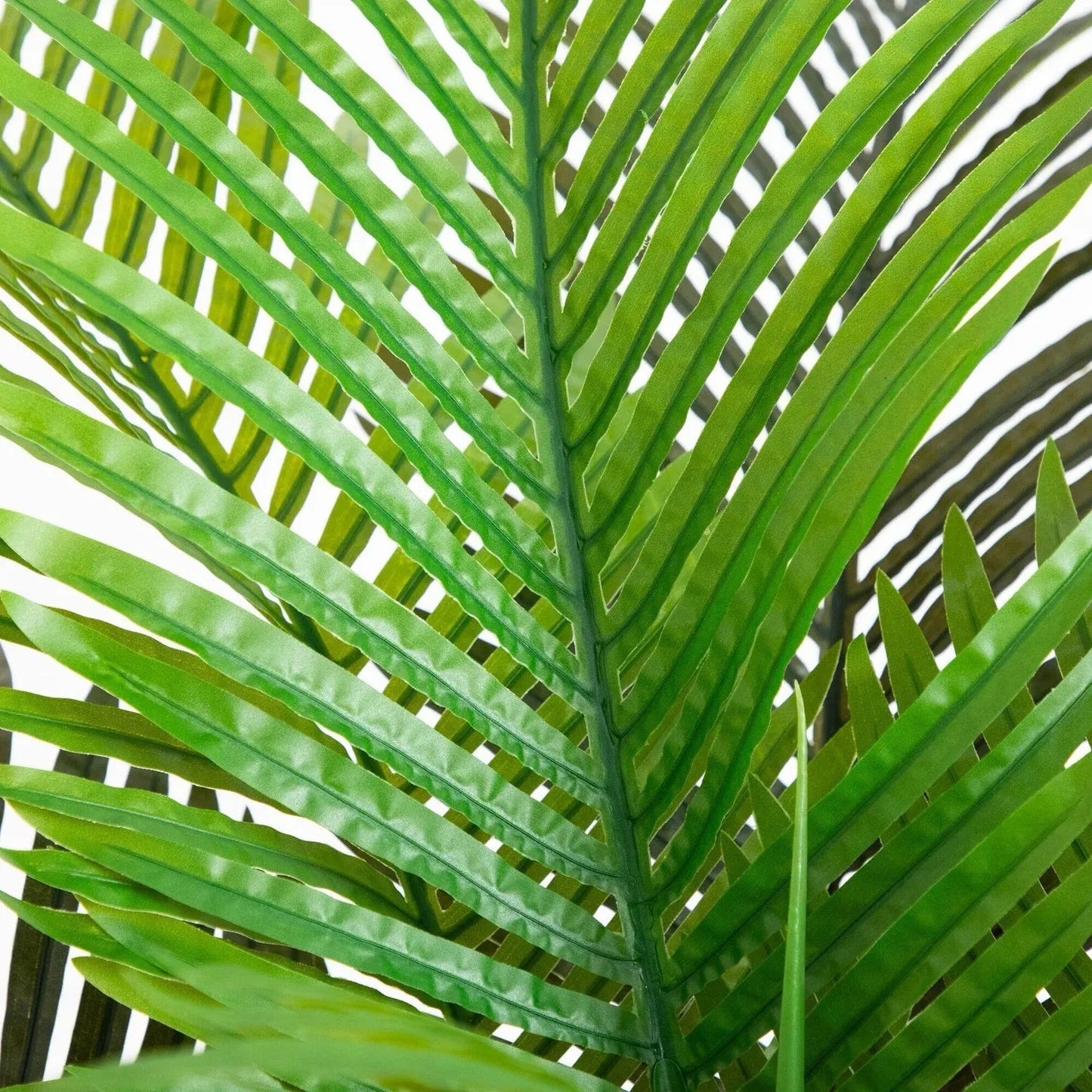 Guangdong Artificial Coconut Palm Tree Home Decor Premium