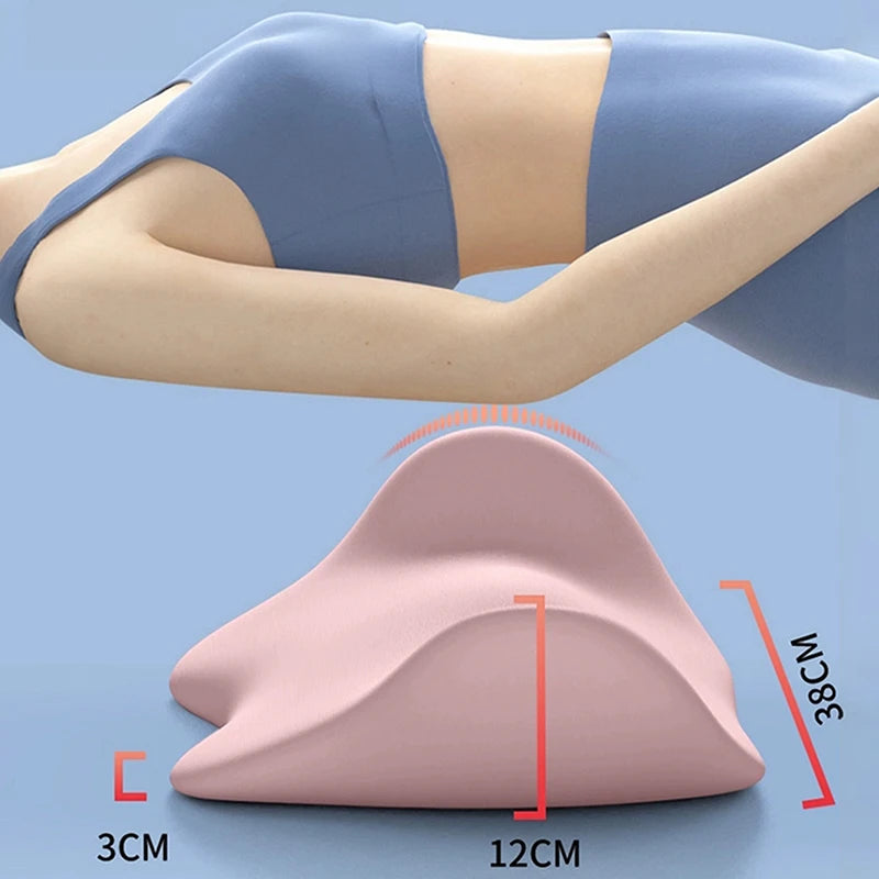 Guangdong Lumbar Support Cushion Ergonomic Back Pillow