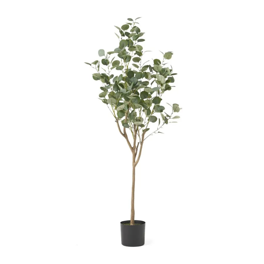 CN Guangdong Artificial Eucalyptus Tree For Outdoor Display