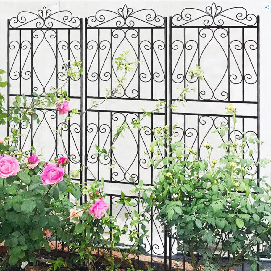 Feature Metal Garden Trellis Climbing Plants Outdoor Fence