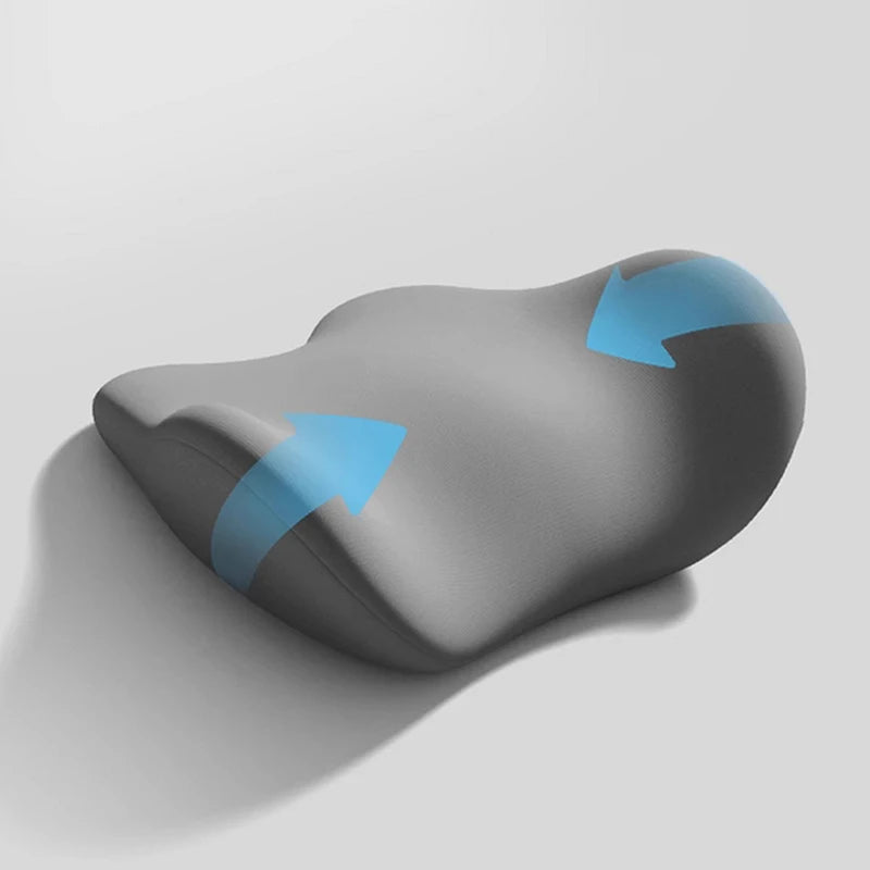 Guangdong Lumbar Support Cushion Ergonomic Back Pillow