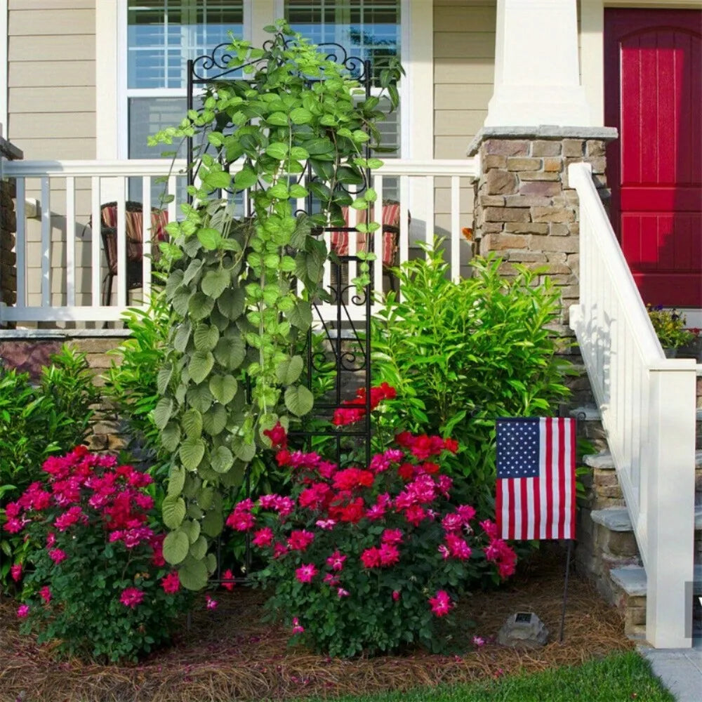 Heavy Duty Metal Garden Trellis For Climbing Plants