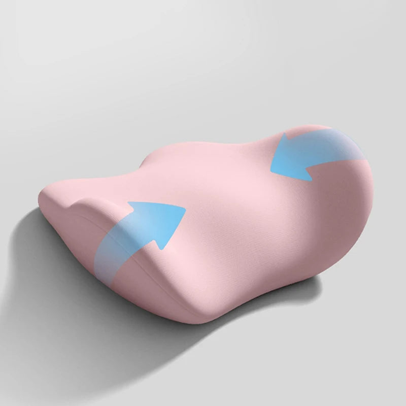 Guangdong Lumbar Support Cushion Ergonomic Back Pillow