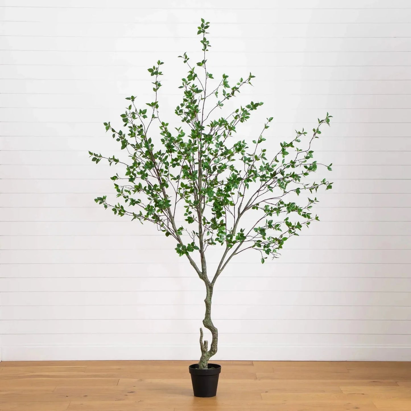 CN Guangdong Citrus Minimalist Artificial Tree Home Decor