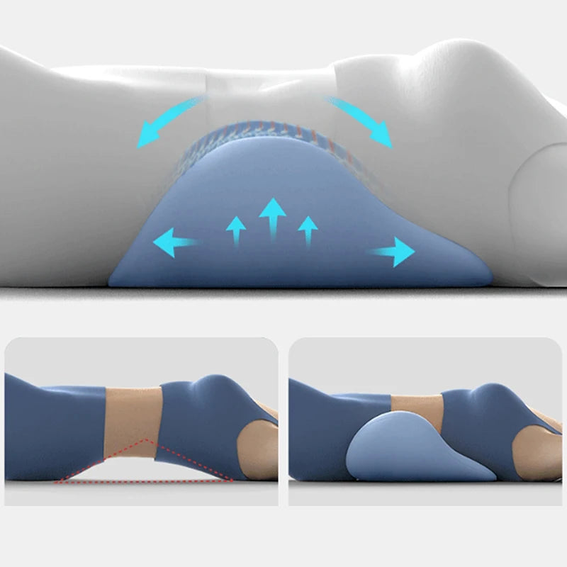 Guangdong Lumbar Support Cushion Ergonomic Back Pillow