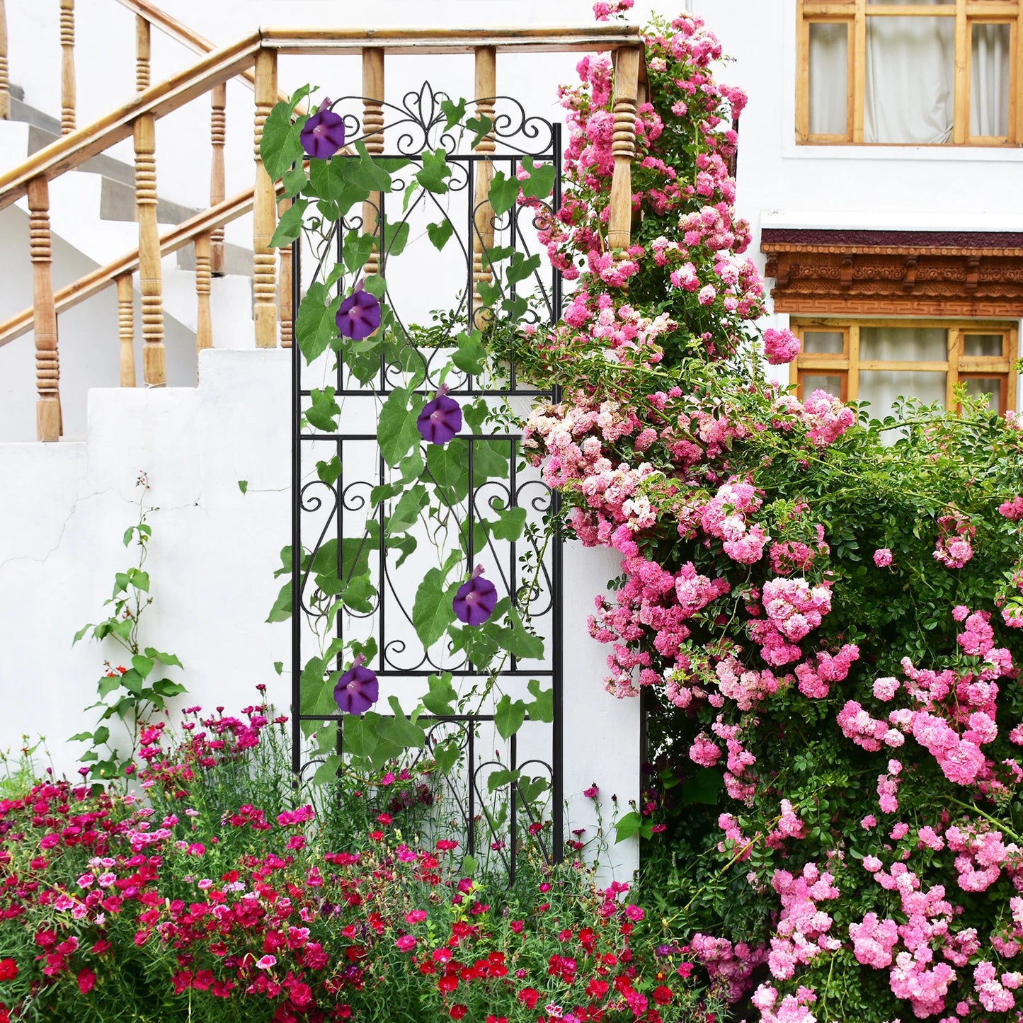 Feature Metal Garden Trellis Climbing Plants Outdoor Fence