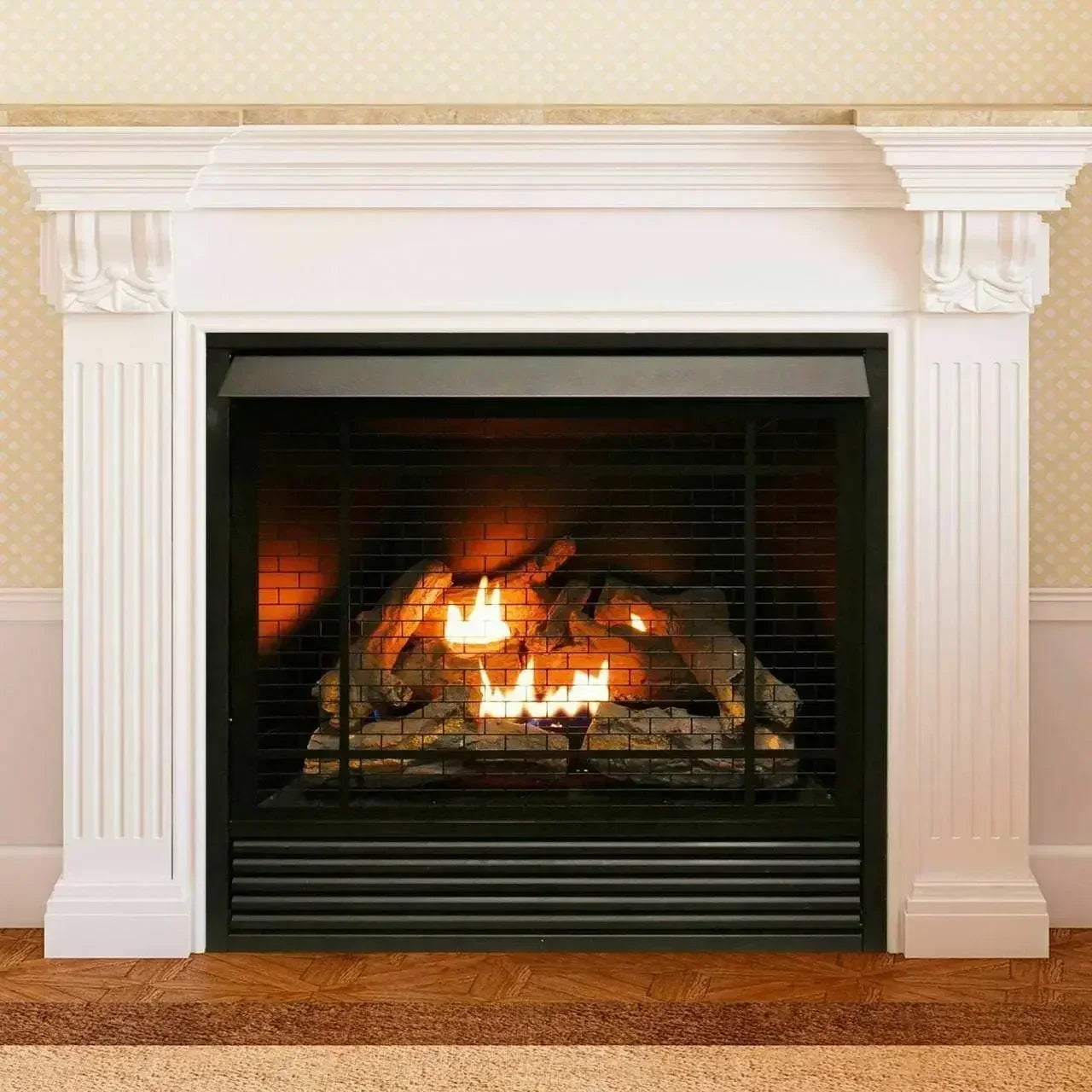 XMSJH Dual Fuel Ventless Gas Fireplace Insert with Remote Control