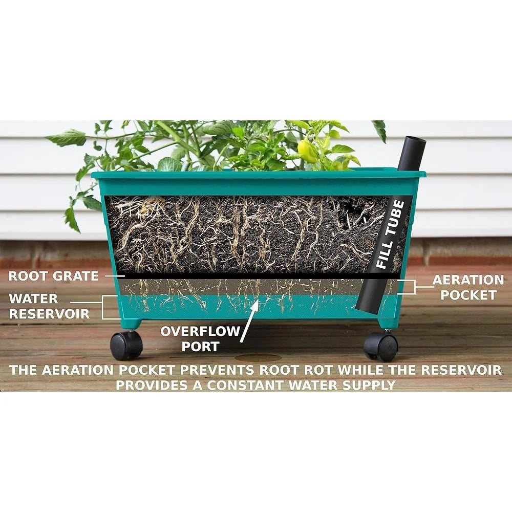 XMSJ Mobile Raised Bed Grow Box For Kids Self Watering