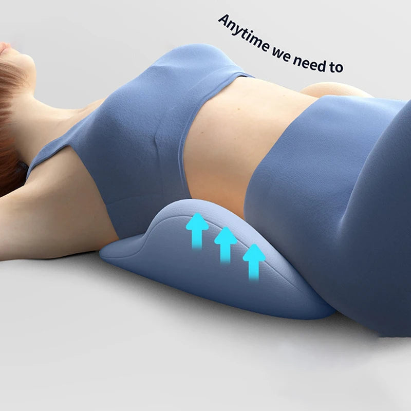 Guangdong Lumbar Support Cushion Ergonomic Back Pillow