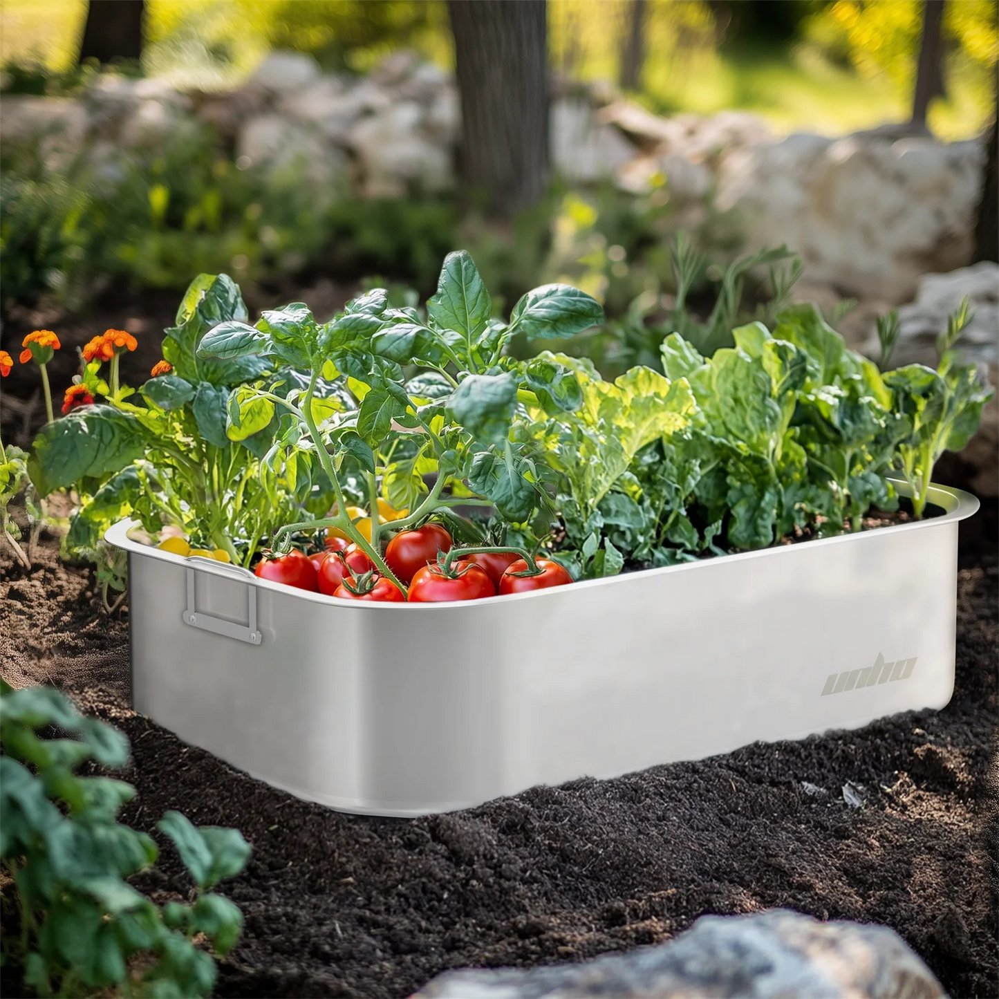 Finishing Gardening Box Decks Stainless Steel Plant Bed Set