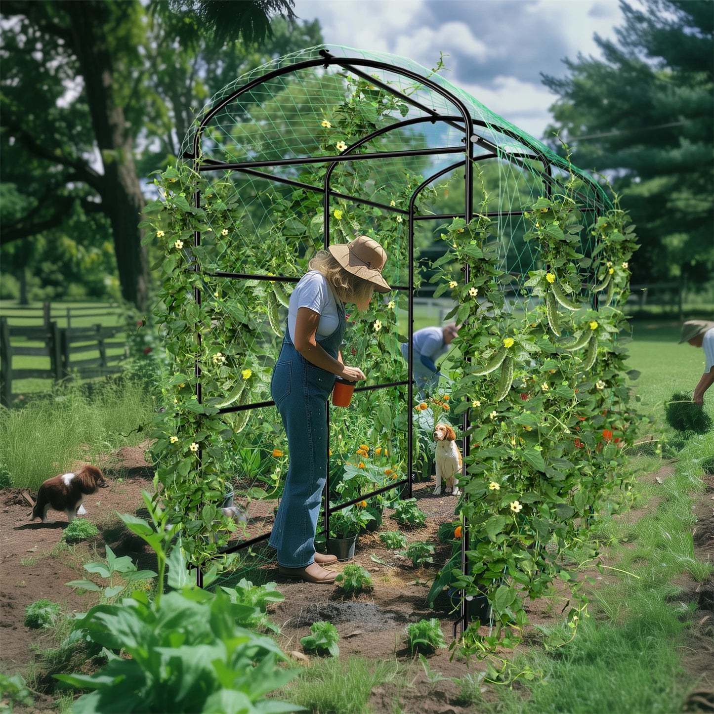 Feature U Shaped Garden Trellis For Climbing Cucumber Plant