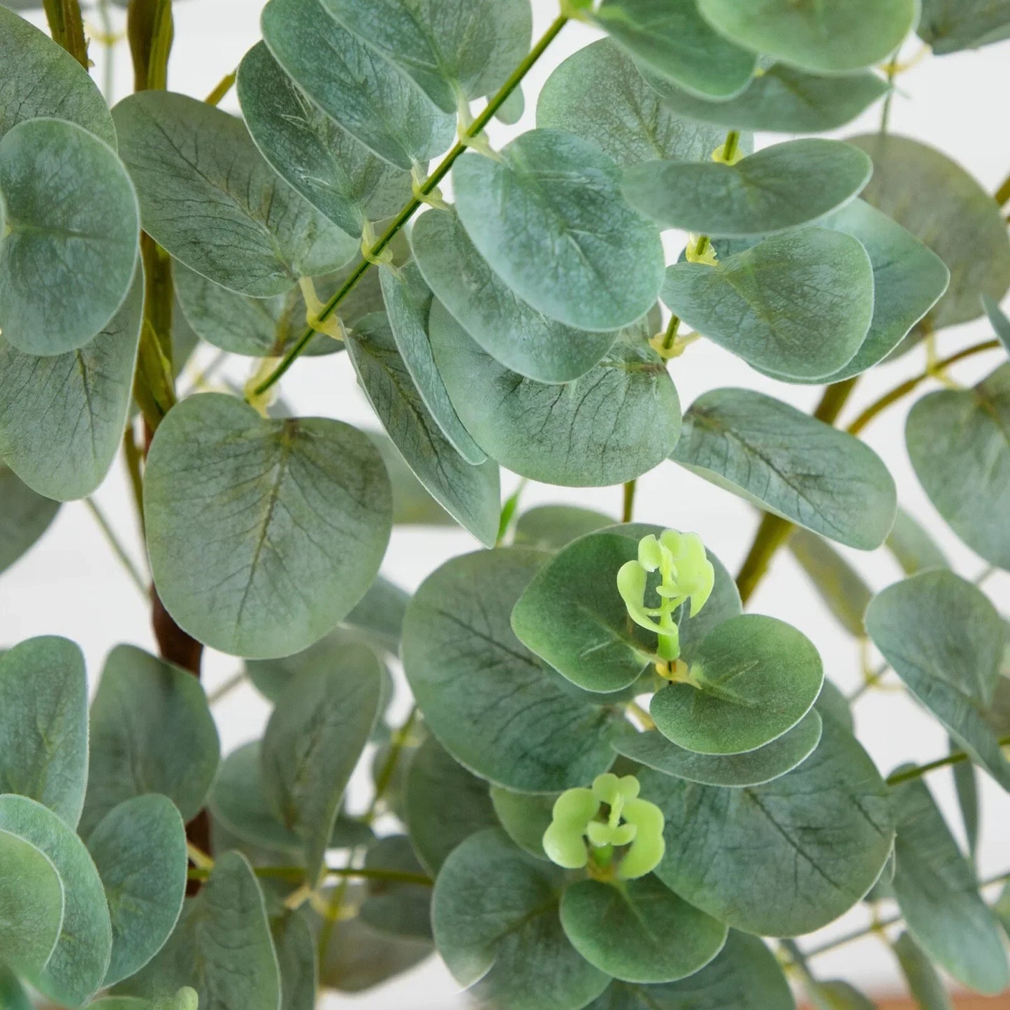 CN Guangdong Eucalyptus Artificial Tree Real Touch Decor
