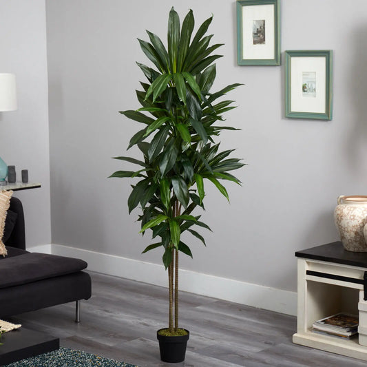 Guangdong CN Dracaena Artificial Silk Plant Real Touch Decor