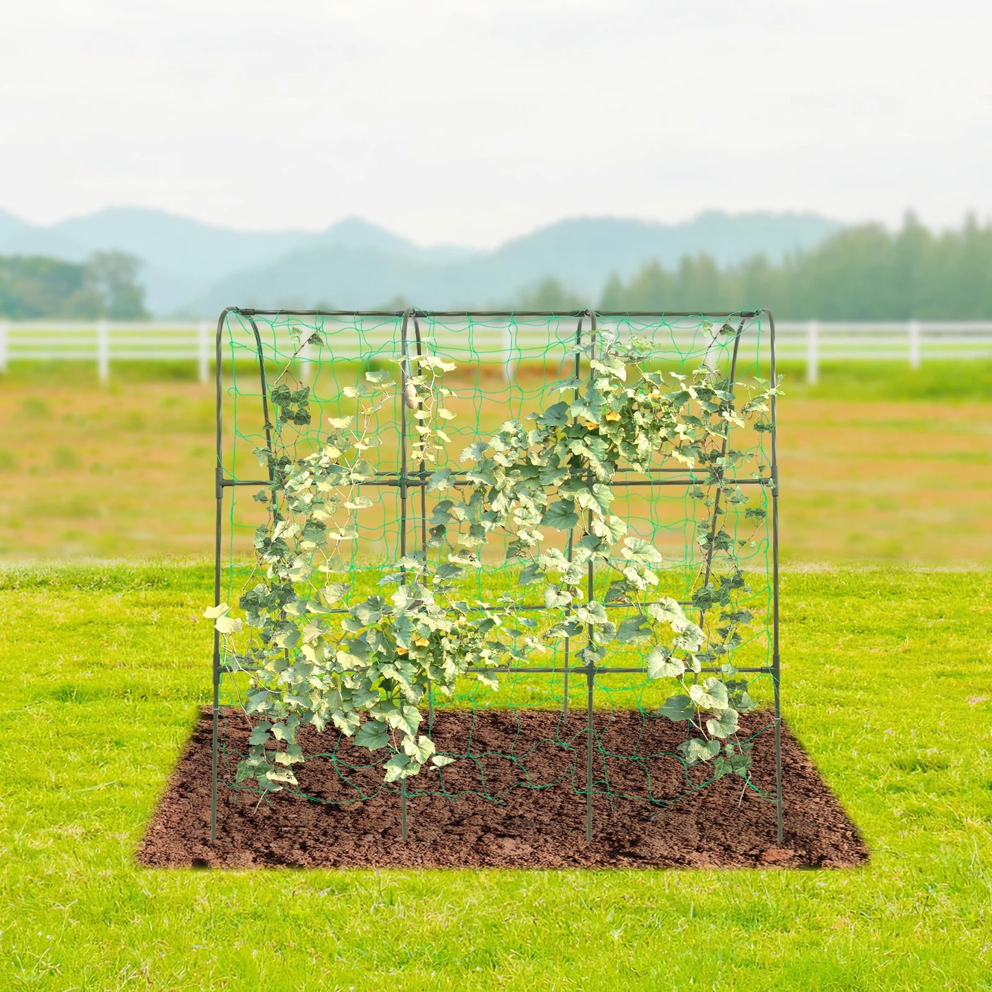 Garden Arch Trellis For Climbing Plants Steel Outdoor