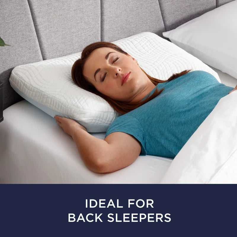 Memory Foam Bed Pillow With Removable Washable Cover