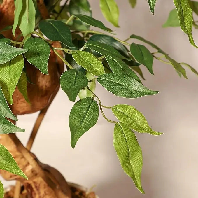 HiMIS Ficus Artificial Tree With Curved Trunk Silk Leaves
