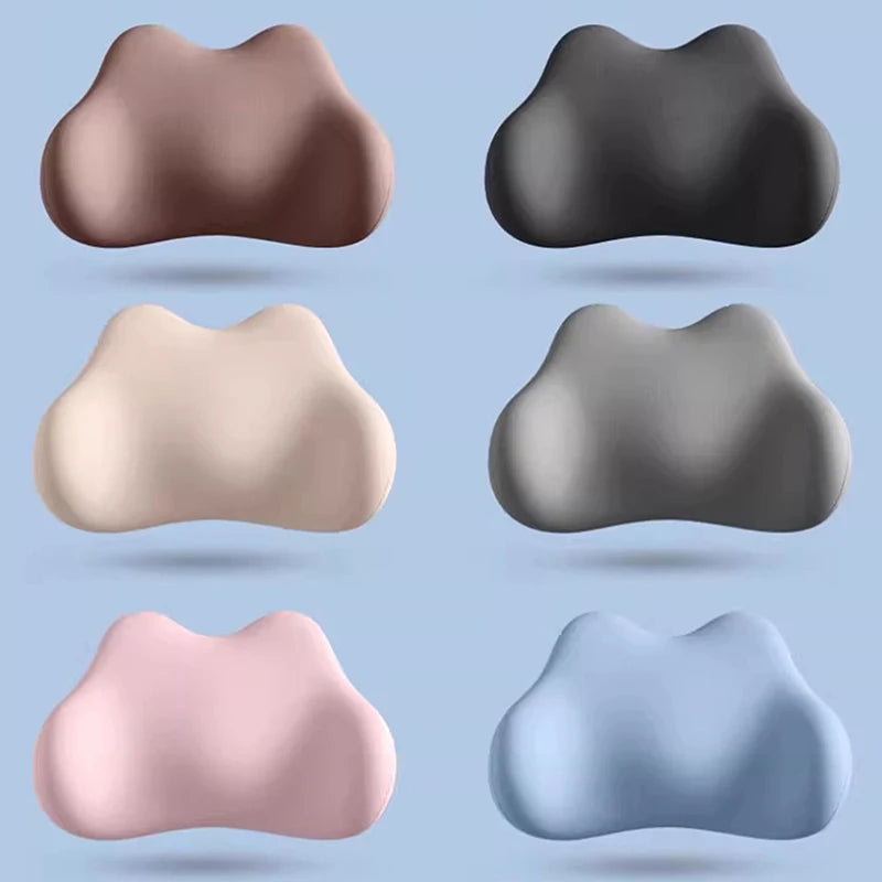 Guangdong Lumbar Support Cushion Ergonomic Back Pillow