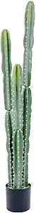 Color Artificial Cactus Indoor Decor Faux Plant For Home