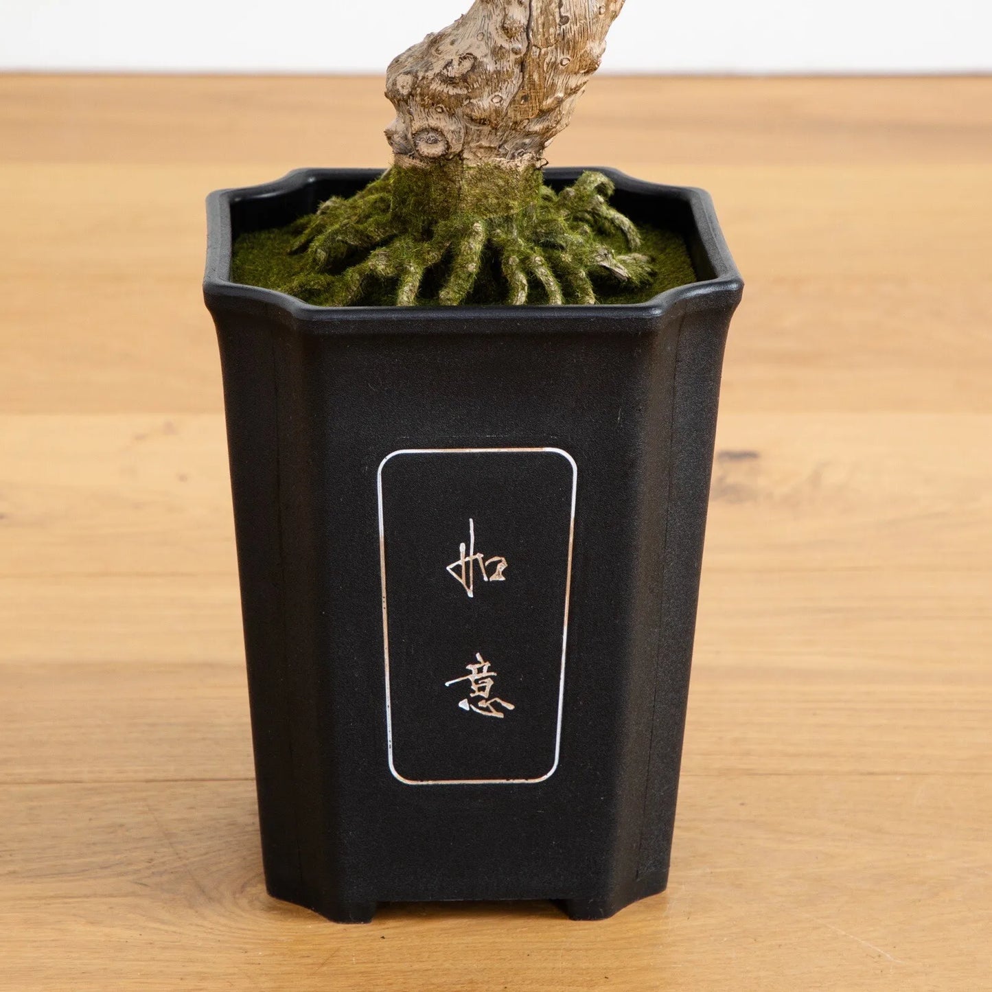 Nearly Natural Artificial Cedar Bonsai In Square Black Vase