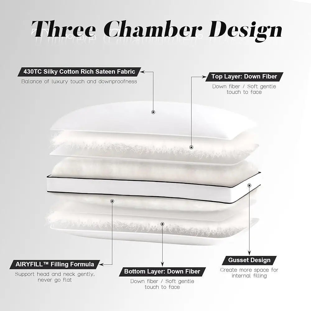 DUTRIEUXCN Luxury Down Pillows Set of 2 Hotel Quality
