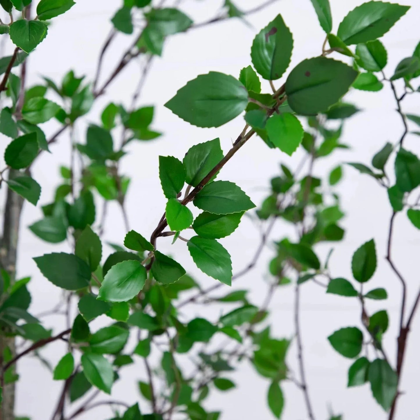 CN Guangdong Citrus Minimalist Artificial Tree Home Decor