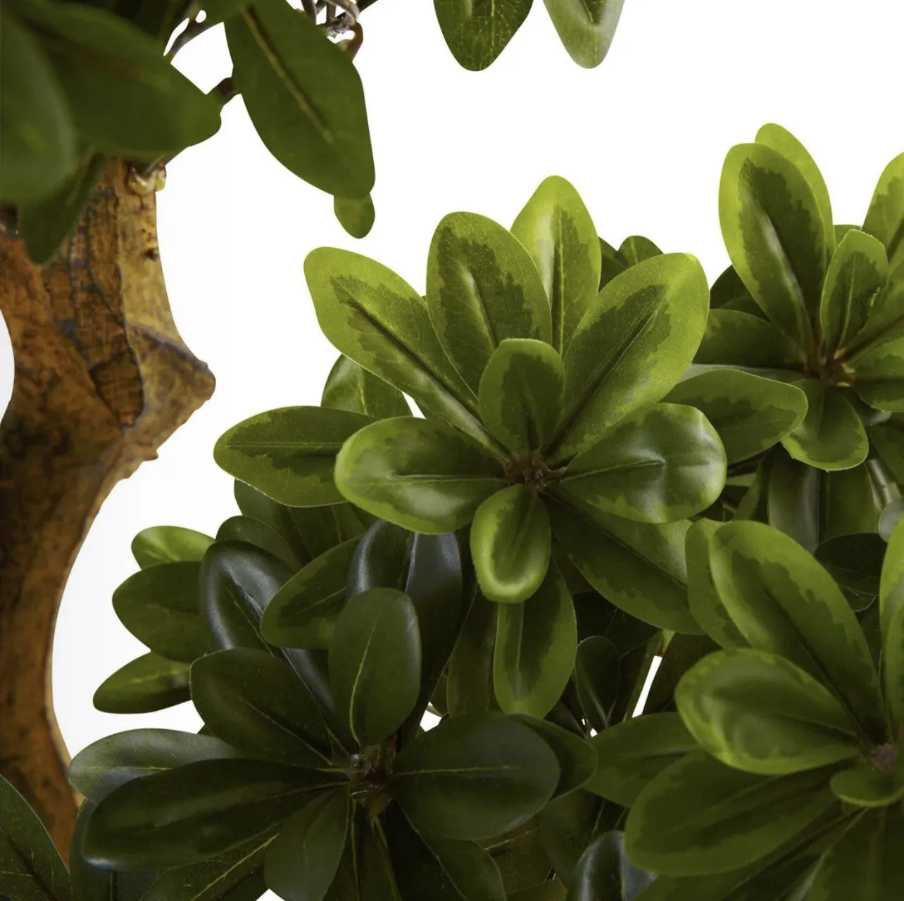 Guangdong Pittispourm Artificial Tree UV Outdoor Decor