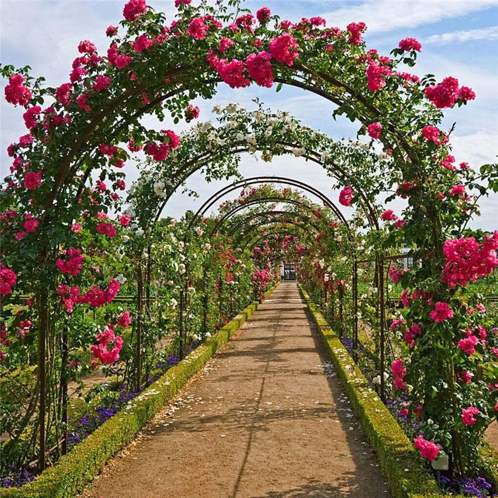 Feature Heavy Duty Metal Garden Arch Rose Archway Pergola