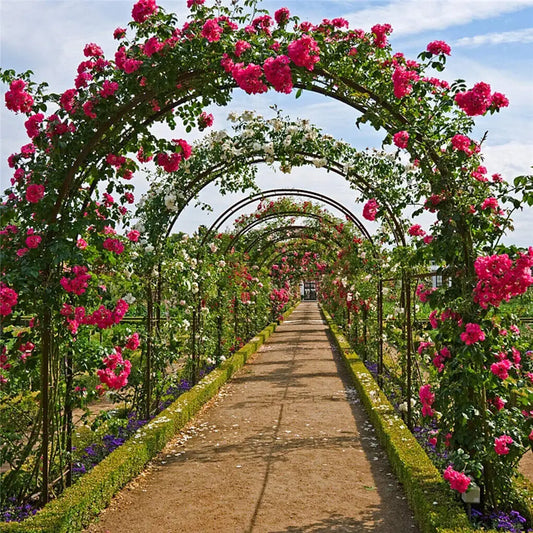 Feature Heavy Duty Metal Garden Arch Rose Archway Pergola