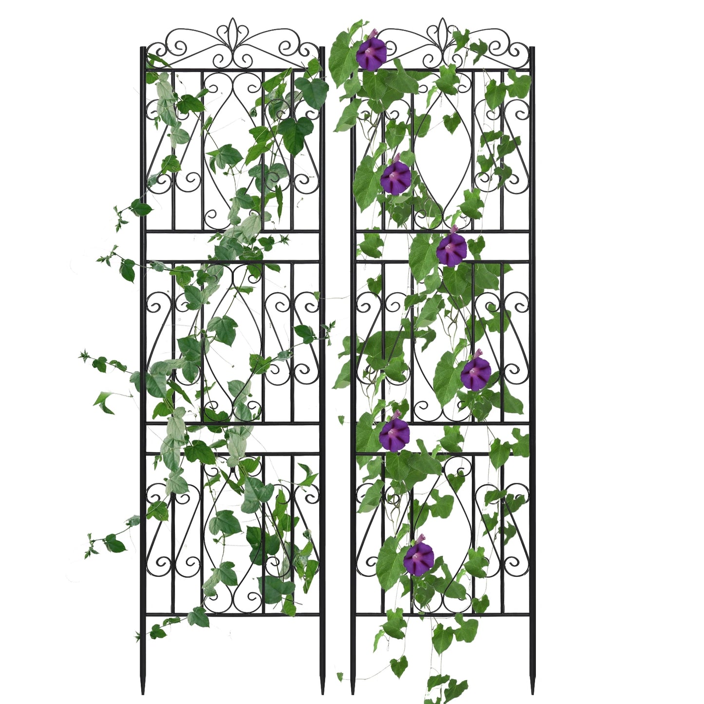 Feature Metal Garden Trellis Climbing Plants Outdoor Fence