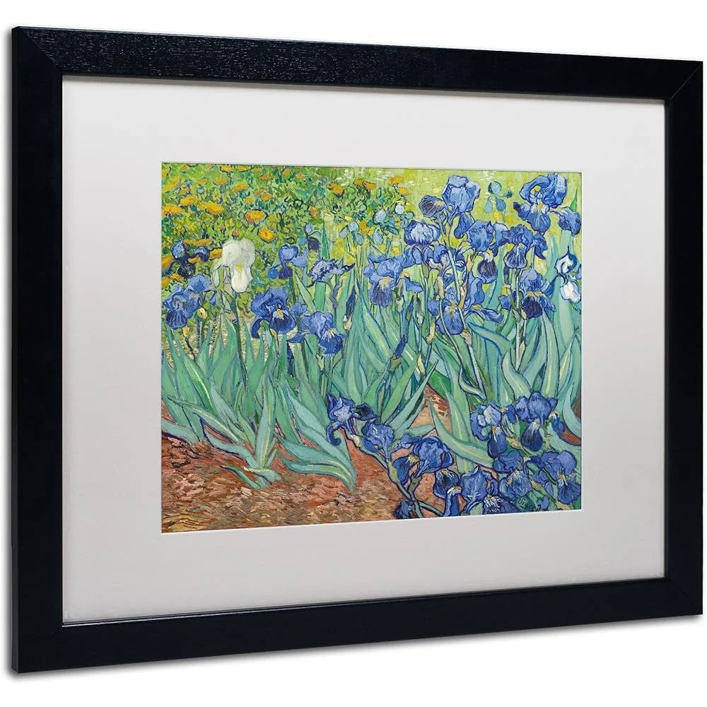 DUTRIEUX Vincent Van Gogh Irises Canvas Print Framed