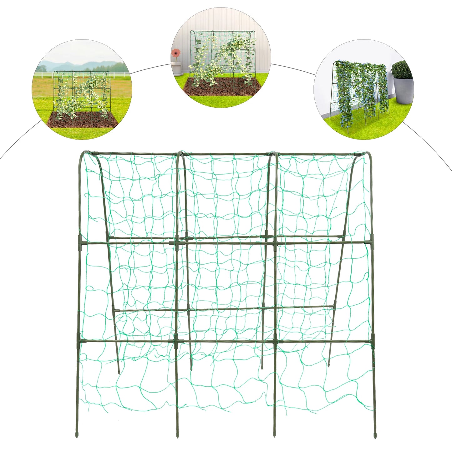 Garden Arch Trellis For Climbing Plants Steel Outdoor