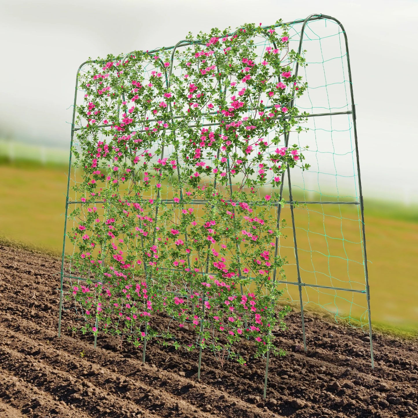 Garden Arch Trellis For Climbing Plants Steel Outdoor