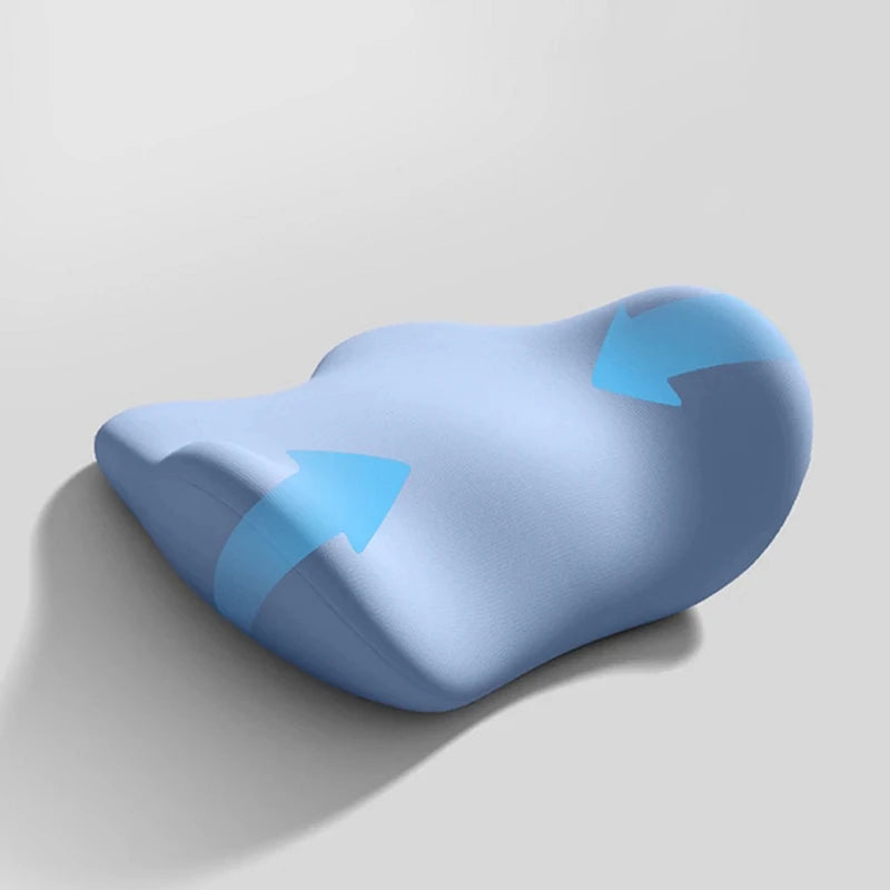 Guangdong Lumbar Support Cushion Ergonomic Back Pillow