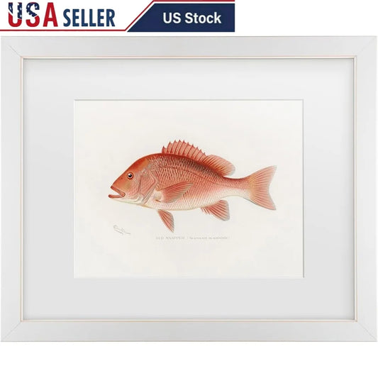 DUTRIEUX Framed Red Snapper Fish Giclee Canvas Wall Art
