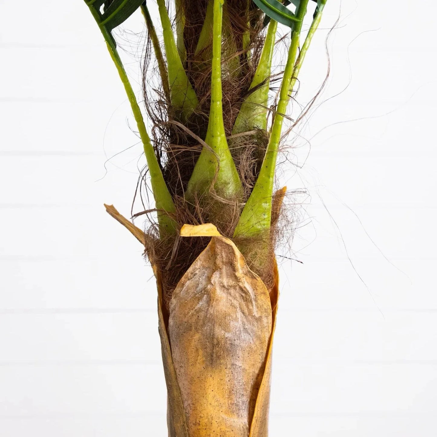 Guangdong Artificial Coconut Palm Tree Home Decor Premium