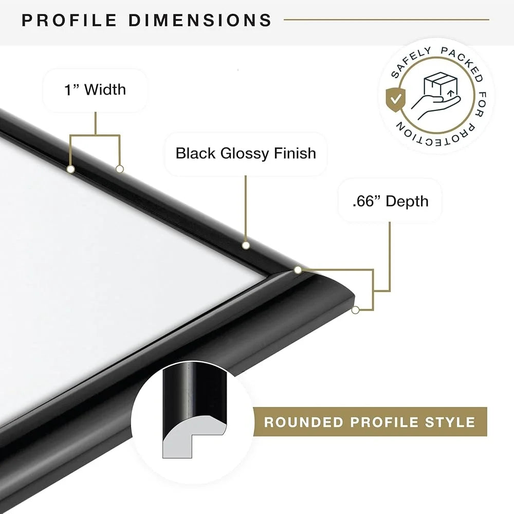 DUTRIEUX Poster Frame High Gloss Wall Mount Picture