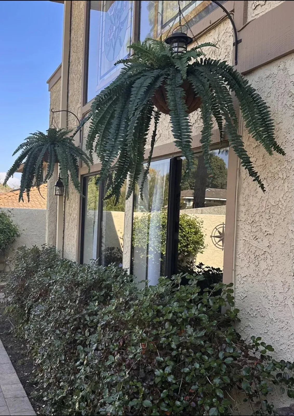 Guangdong Boston Fern Artificial Bush Plant For Home Decor