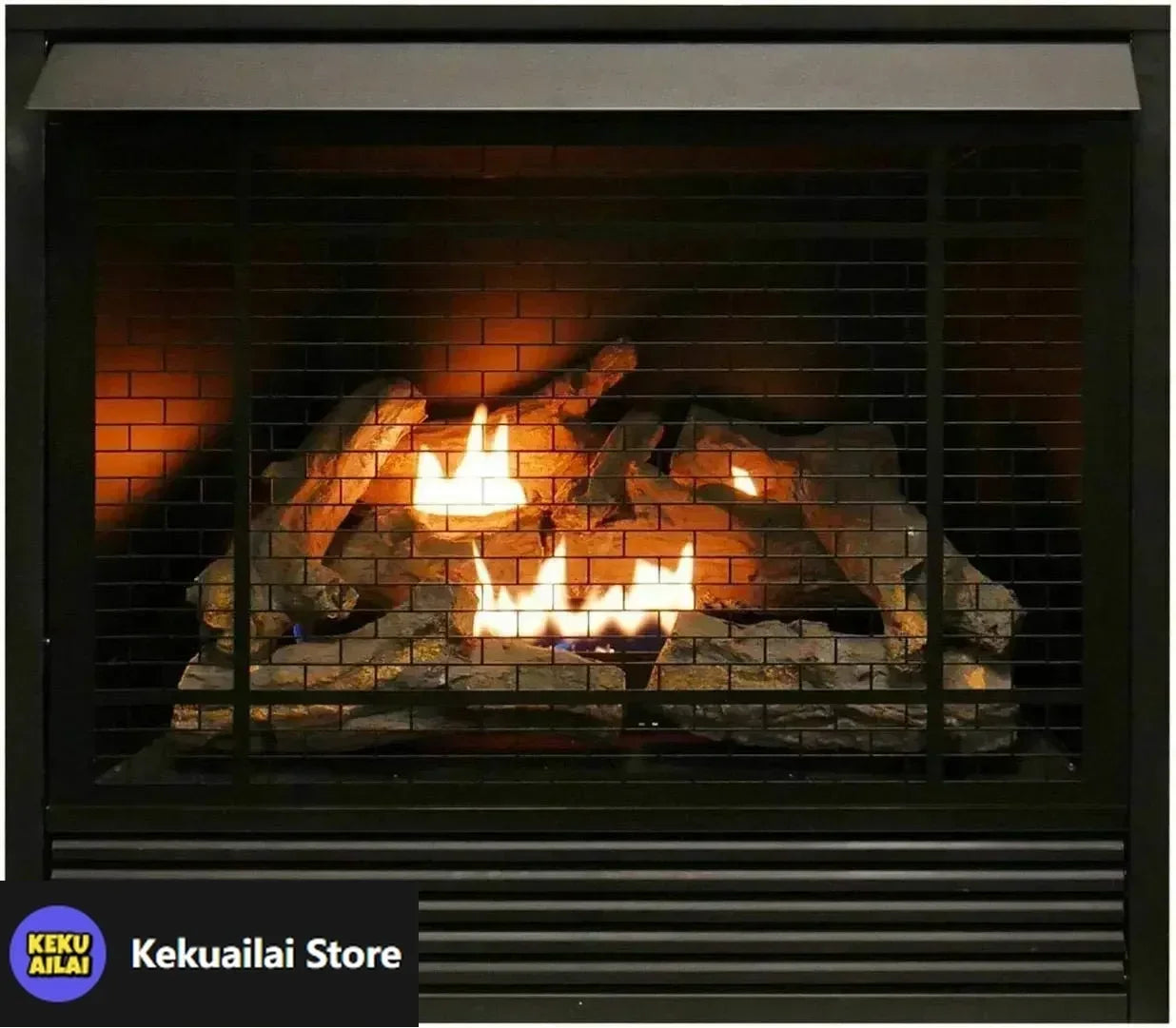 XMSJH Dual Fuel Ventless Gas Fireplace Insert with Remote Control