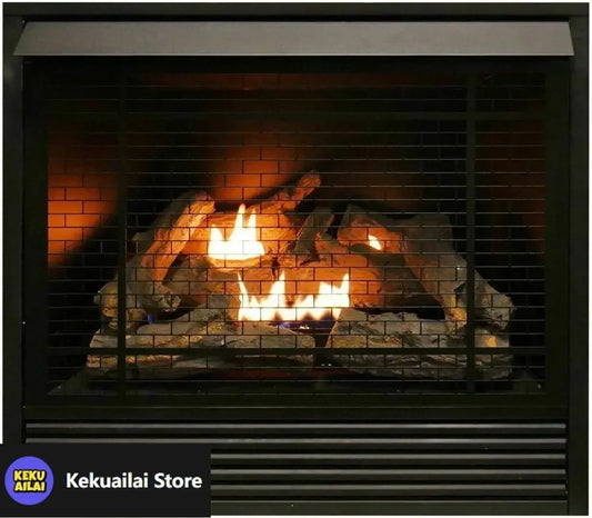 XMSJH Dual Fuel Ventless Gas Fireplace Insert with Remote Control