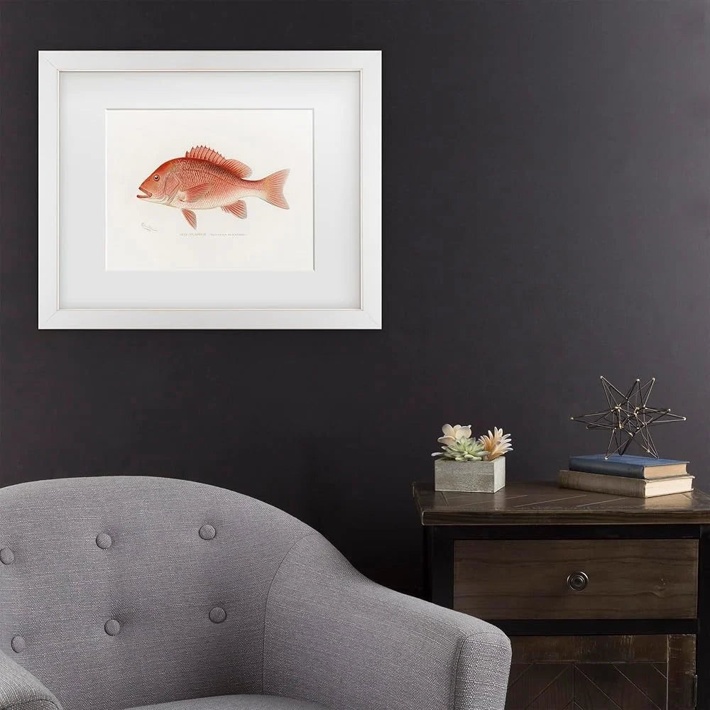 DUTRIEUX Framed Red Snapper Fish Giclee Canvas Wall Art
