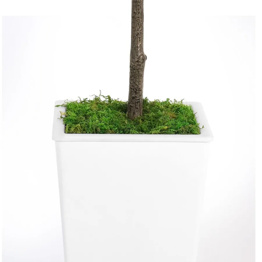Artificial Olive Tree 8ft With Pot And Moss For Home Office