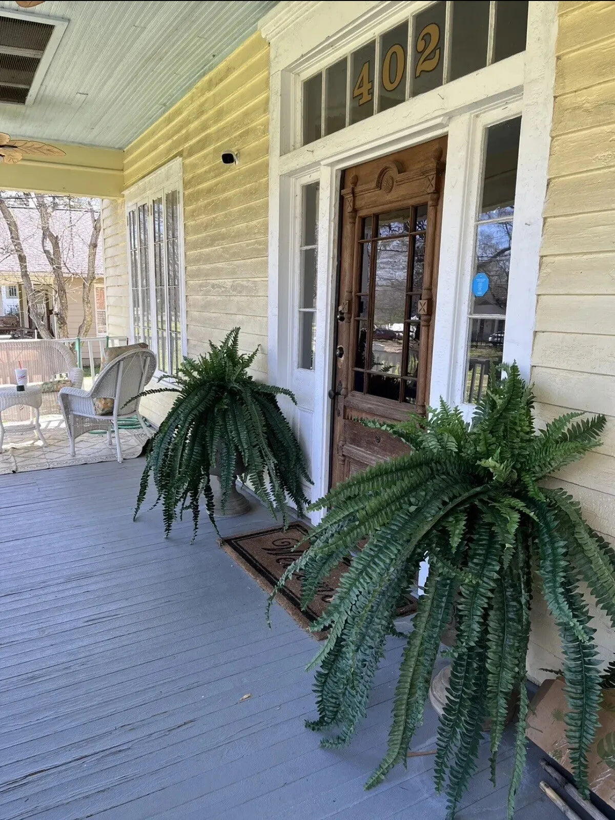 Guangdong Boston Fern Artificial Bush Plant For Home Decor